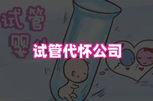 生殖助孕网站 1