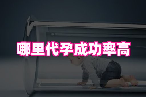 生殖助孕网站 3